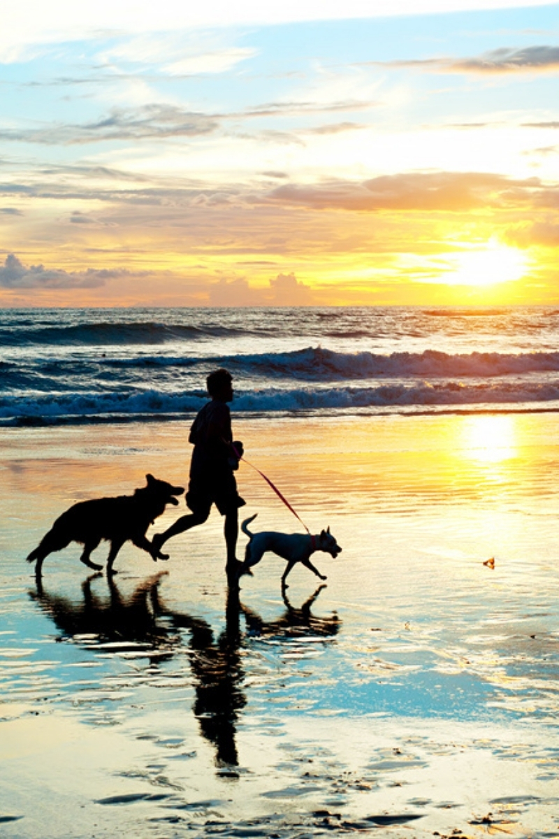 Welcome To The Canopy Virginia Beach Entrance